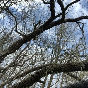 Meet your Posher, Bailey